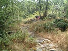 Les Costes de Prades - DSCF0503.jpg - biking66.com
