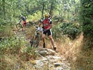 Les Costes de Prades - DSCF0504.jpg - biking66.com