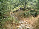 Les Costes de Prades - DSCF0510.jpg - biking66.com