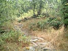 Les Costes de Prades - DSCF0514.jpg - biking66.com