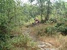 Les Costes de Prades - DSCF0515.jpg - biking66.com