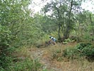 Les Costes de Prades - DSCF0520.jpg - biking66.com