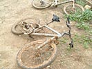Rando des vendanges - IMG_004.jpg - biking66.com