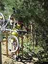 Train jaune version longue (V2) - IMG_0257.jpg - biking66.com