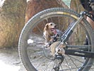D�couverte du circuit 5 � Vernet - IMG_0101.jpg - biking66.com
