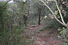La Garoutade - garoutade.jpg - biking66.com