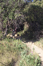 Garoutade enduro - 100B6432.jpg - biking66.com