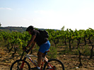 Rando des Vendanges - IMG_3618.jpg - biking66.com