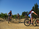 Rando des Vendanges - IMG_3627.jpg - biking66.com