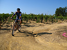 Rando des Vendanges - IMG_3644.jpg - biking66.com