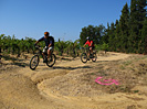 Rando des Vendanges - IMG_3647.jpg - biking66.com