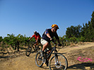 Rando des Vendanges - IMG_3650.jpg - biking66.com
