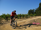 Rando des Vendanges - IMG_3652.jpg - biking66.com