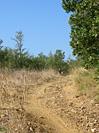 Rando des Vendanges - IMG_3680.jpg - biking66.com