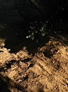 Rando des Vendanges - IMG_3704.jpg - biking66.com
