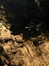 Rando des Vendanges - IMG_3705.jpg - biking66.com