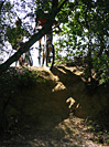 Rando des Vendanges - IMG_3712.jpg - biking66.com