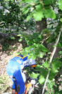 Troph�e Sant Joan - IMG_6237.jpg - biking66.com