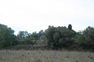 Troph�e Sant Joan - IMG_6301.jpg - biking66.com
