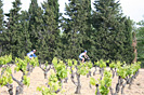 Troph�e Sant Joan - IMG_6323.jpg - biking66.com