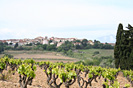 Troph�e Sant Joan - IMG_6346.jpg - biking66.com