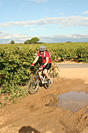 Rando des vendanges - IMG_1082.jpg - biking66.com