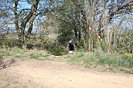 Trophe Sant Joan - IMG_3460.jpg - biking66.com