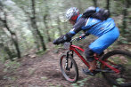 Rando VTT de Villelongue dels Monts - IMG_2723.JPG - biking66.com