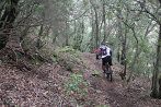 Rando VTT de Villelongue dels Monts - IMG_2742.JPG - biking66.com