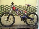 prophet - totoche - biking66.com