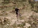 ah le freeride!!! - pigou - biking66.com