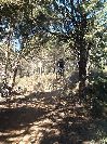 sebroadgap.JPG - pigou - biking66.com