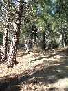 seb3bosse.JPG - pigou - biking66.com