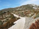 pas du loup dentelles de montmirail fin janvier 2008. Les buiis ont eu soif cet �t�. - philgil.perez - biking66.com