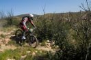 rulyo!!! - patator - biking66.com