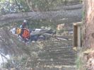 laquillane 131.jpg - VRINX - biking66.com