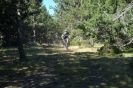 Descente du train jaune, 3 ao�t 2008 - yannk - biking66.com