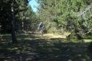 Descente du train jaune, 3 ao�t 2008 - yannk - biking66.com