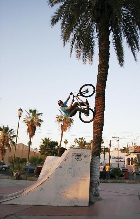 Palmier ride... - Junbao - biking66.com